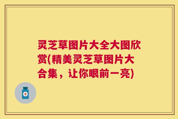 灵芝草图片大全大图欣赏(精美灵芝草图片大合集,让你眼前一亮) 灵芝草图片大全大图欣赏(精美灵芝草图片大合集,让你眼前一亮)