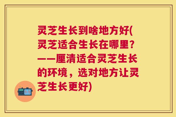 灵芝生长到啥地方好(灵芝适合生长在哪里?——厘清适合灵芝生长的环境,选对地方让灵芝生长更好) 灵芝生长到啥地方好(灵芝适合生长在哪里?——厘清适合灵芝生长的环境,选对地方让灵芝生长更好)