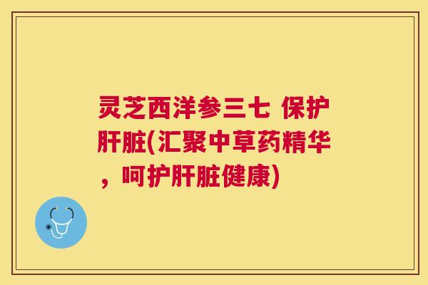 灵芝西洋参三七 保护(汇聚中草药精华,呵护健康) 灵芝西洋参三七 保护(汇聚中草药精华,呵护健康)