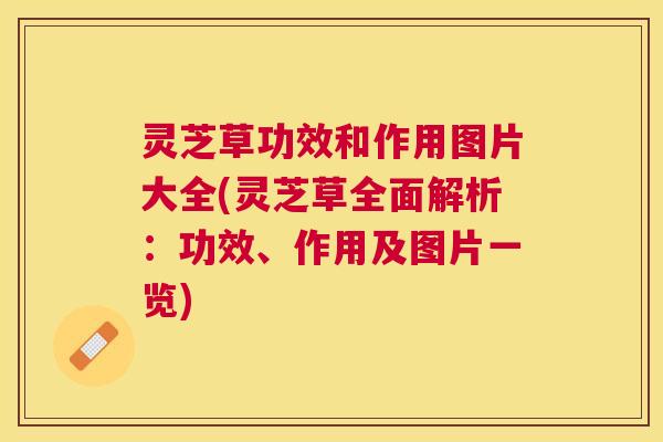 灵芝草功效和作用图片大全(灵芝草全面解析:功效、作用及图片一览) 灵芝草功效和作用图片大全(灵芝草全面解析:功效、作用及图片一览)