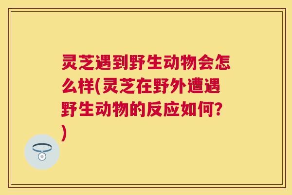 灵芝遇到野生动物会怎么样(灵芝在野外遭遇野生动物的反应如何?) 灵芝遇到野生动物会怎么样(灵芝在野外遭遇野生动物的反应如何?)