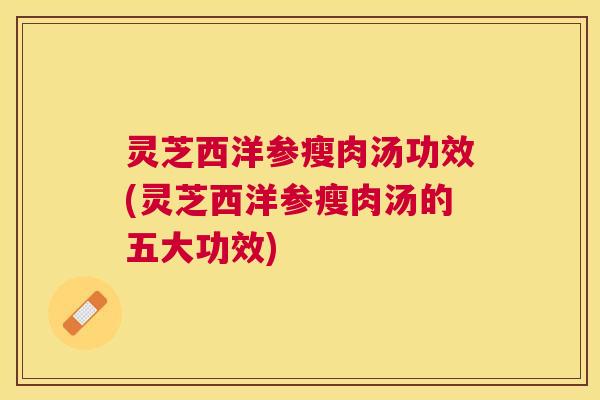 灵芝西洋参瘦肉汤功效(灵芝西洋参瘦肉汤的五大功效) 灵芝西洋参瘦肉汤功效(灵芝西洋参瘦肉汤的五大功效)