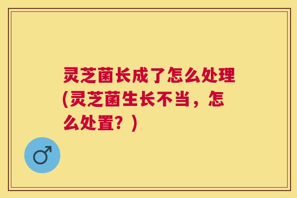 灵芝菌长成了怎么处理(灵芝菌生长不当,怎么处置?) 灵芝菌长成了怎么处理(灵芝菌生长不当,怎么处置?)