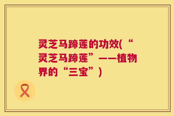 灵芝马蹄莲的功效(“灵芝马蹄莲”——植物界的“三宝”) 灵芝马蹄莲的功效(“灵芝马蹄莲”——植物界的“三宝”)