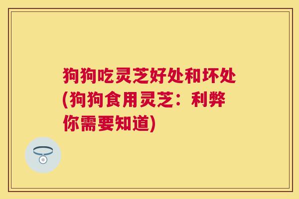 狗狗吃灵芝好处和坏处(狗狗食用灵芝:利弊你需要知道) 狗狗吃灵芝好处和坏处(狗狗食用灵芝:利弊你需要知道)