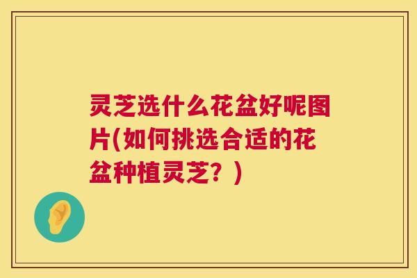 灵芝选什么花盆好呢图片(如何挑选合适的花盆种植灵芝?) 灵芝选什么花盆好呢图片(如何挑选合适的花盆种植灵芝?)
