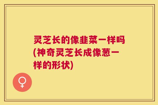 灵芝长的像韭菜一样吗(神奇灵芝长成像葱一样的形状) 灵芝长的像韭菜一样吗(神奇灵芝长成像葱一样的形状)
