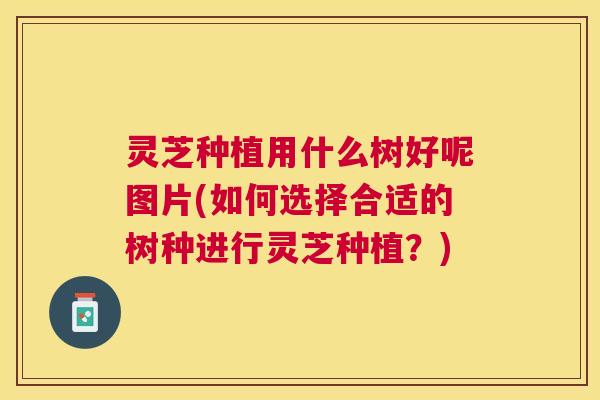 灵芝种植用什么树好呢图片(如何选择合适的树种进行灵芝种植?) 灵芝种植用什么树好呢图片(如何选择合适的树种进行灵芝种植?)
