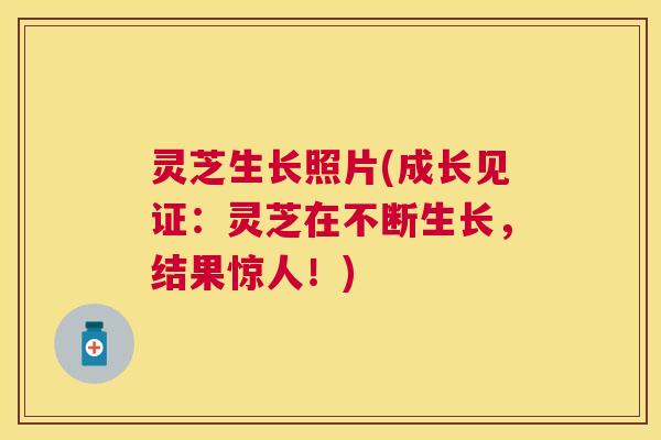 灵芝生长照片(成长见证:灵芝在不断生长,结果惊人!) 灵芝生长照片(成长见证:灵芝在不断生长,结果惊人!)