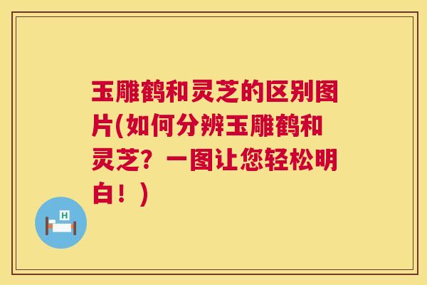 玉雕鹤和灵芝的区别图片(如何分辨玉雕鹤和灵芝?一图让您轻松明白!) 玉雕鹤和灵芝的区别图片(如何分辨玉雕鹤和灵芝?一图让您轻松明白!)