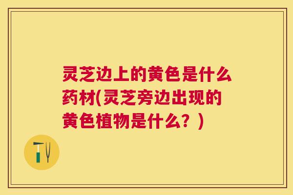 灵芝边上的黄色是什么药材(灵芝旁边出现的黄色植物是什么？)