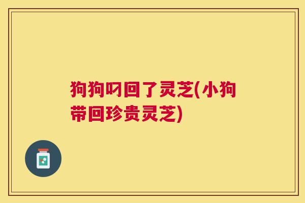 狗狗叼回了灵芝(小狗带回珍贵灵芝) 狗狗叼回了灵芝(小狗带回珍贵灵芝)