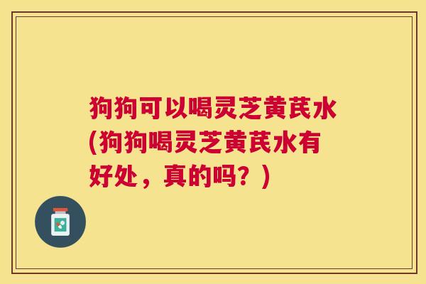 狗狗可以喝灵芝黄芪水(狗狗喝灵芝黄芪水有好处，真的吗？)