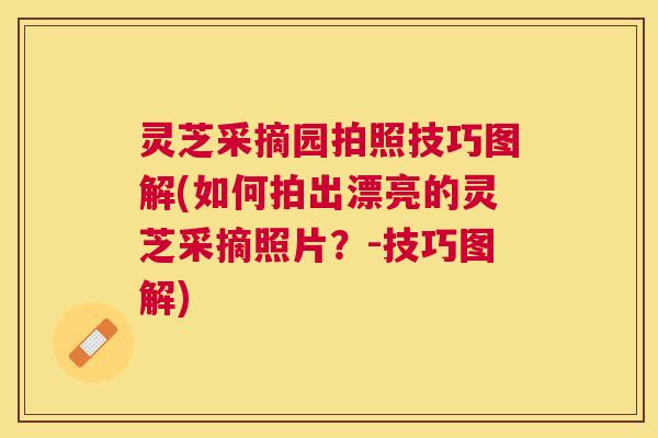 灵芝采摘园拍照技巧图解(如何拍出漂亮的灵芝采摘照片?-技巧图解) 灵芝采摘园拍照技巧图解(如何拍出漂亮的灵芝采摘照片?-技巧图解)