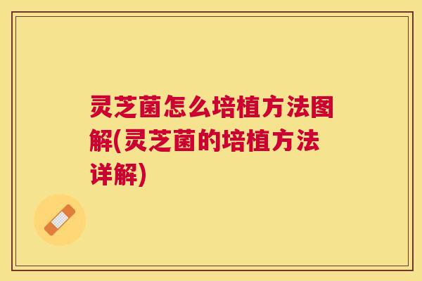 灵芝菌怎么培植方法图解(灵芝菌的培植方法详解)