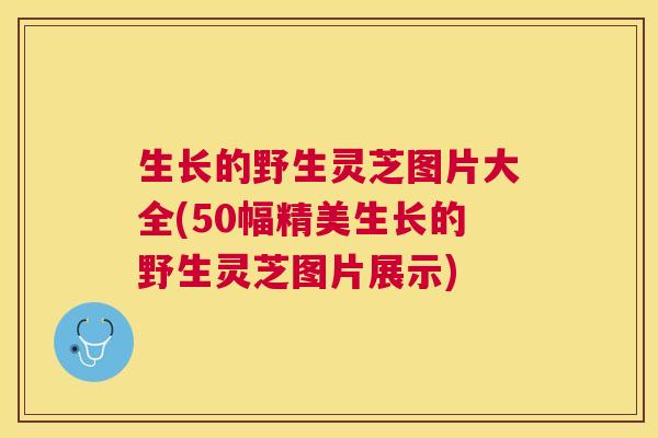 生长的野生灵芝图片大全(50幅精美生长的野生灵芝图片展示) 生长的野生灵芝图片大全(50幅精美生长的野生灵芝图片展示)