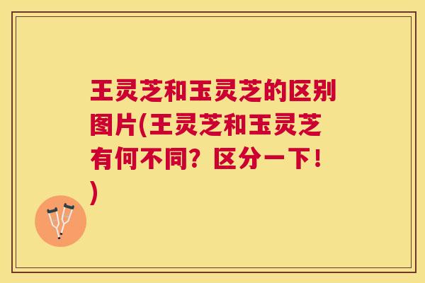 王灵芝和玉灵芝的区别图片(王灵芝和玉灵芝有何不同?区分一下!) 王灵芝和玉灵芝的区别图片(王灵芝和玉灵芝有何不同?区分一下!)