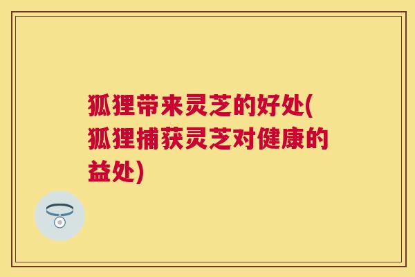 狐狸带来灵芝的好处(狐狸捕获灵芝对健康的益处) 狐狸带来灵芝的好处(狐狸捕获灵芝对健康的益处)