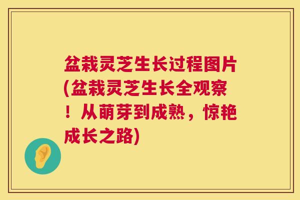 盆栽灵芝生长过程图片(盆栽灵芝生长全观察!从萌芽到成熟,惊艳成长之路) 盆栽灵芝生长过程图片(盆栽灵芝生长全观察!从萌芽到成熟,惊艳成长之路)