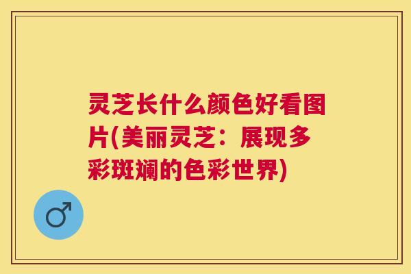 灵芝长什么颜色好看图片(美丽灵芝:展现多彩斑斓的色彩世界) 灵芝长什么颜色好看图片(美丽灵芝:展现多彩斑斓的色彩世界)