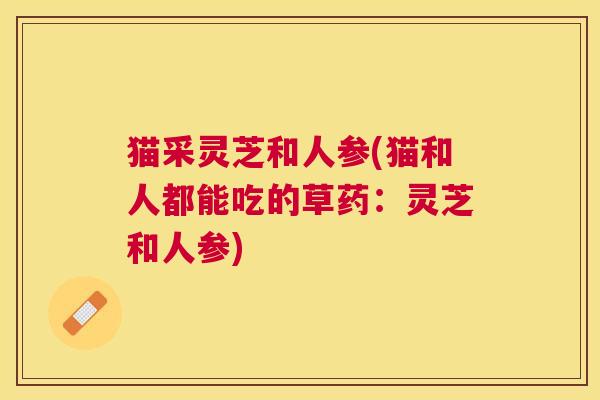 猫采灵芝和人参(猫和人都能吃的草药:灵芝和人参) 猫采灵芝和人参(猫和人都能吃的草药:灵芝和人参)