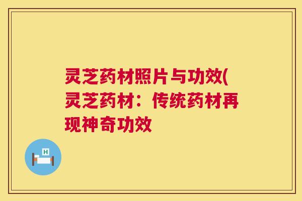 灵芝药材照片与功效(灵芝药材:传统药材再现神奇功效 灵芝药材照片与功效(灵芝药材:传统药材再现神奇功效
