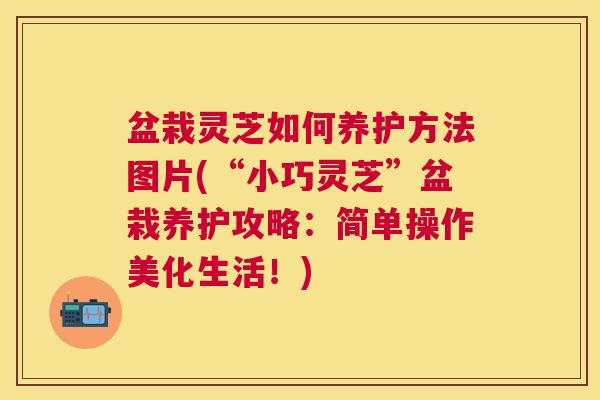 盆栽灵芝如何养护方法图片(“小巧灵芝”盆栽养护攻略:简单操作美化生活!) 盆栽灵芝如何养护方法图片(“小巧灵芝”盆栽养护攻略:简单操作美化生活!)