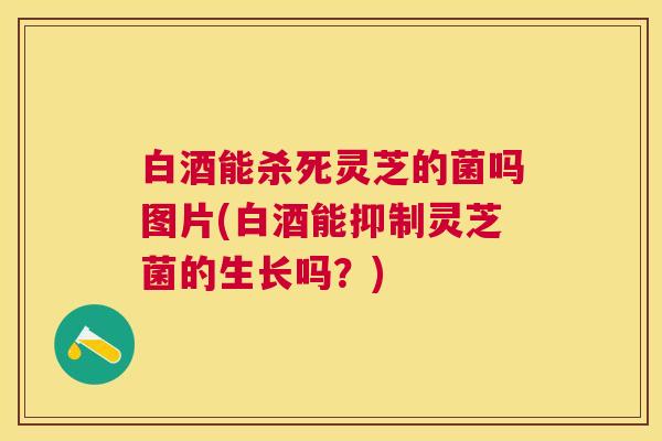 白酒能杀死灵芝的菌吗图片(白酒能抑制灵芝菌的生长吗?) 白酒能杀死灵芝的菌吗图片(白酒能抑制灵芝菌的生长吗?)