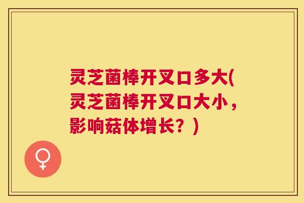 灵芝菌棒开叉口多大(灵芝菌棒开叉口大小,影响菇体增长?) 灵芝菌棒开叉口多大(灵芝菌棒开叉口大小,影响菇体增长?)