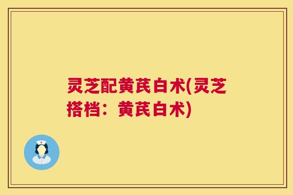 灵芝配黄芪白术(灵芝搭档:黄芪白术) 灵芝配黄芪白术(灵芝搭档:黄芪白术)