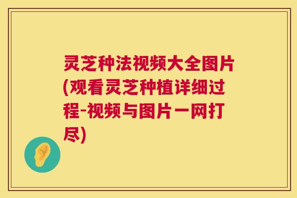 灵芝种法视频大全图片(观看灵芝种植详细过程-视频与图片一网打尽) 灵芝种法视频大全图片(观看灵芝种植详细过程-视频与图片一网打尽)