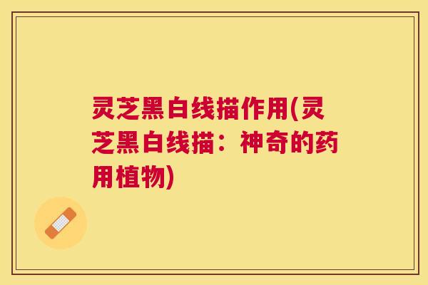 灵芝黑白线描作用(灵芝黑白线描:神奇的药用植物) 灵芝黑白线描作用(灵芝黑白线描:神奇的药用植物)