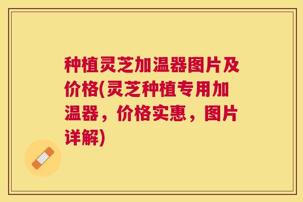 种植灵芝加温器图片及价格(灵芝种植专用加温器,价格实惠,图片详解) 种植灵芝加温器图片及价格(灵芝种植专用加温器,价格实惠,图片详解)