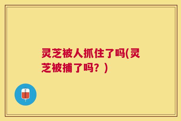 灵芝被人抓住了吗(灵芝被捕了吗?) 灵芝被人抓住了吗(灵芝被捕了吗?)