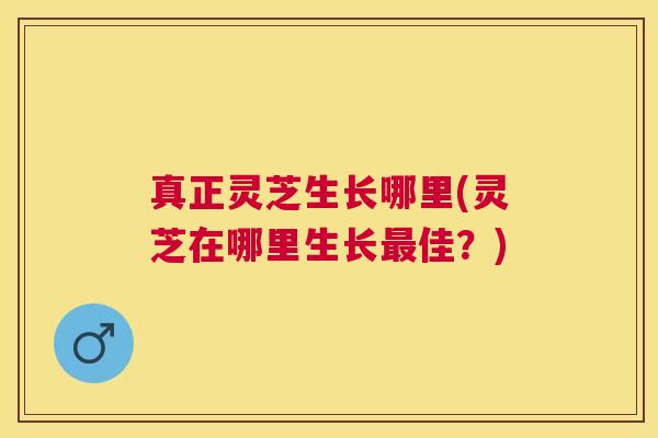 真正灵芝生长哪里(灵芝在哪里生长佳?) 真正灵芝生长哪里(灵芝在哪里生长佳?)