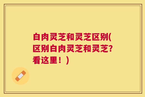 白肉灵芝和灵芝区别(区别白肉灵芝和灵芝?看这里!) 白肉灵芝和灵芝区别(区别白肉灵芝和灵芝?看这里!)