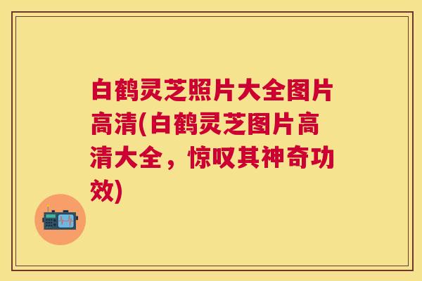 白鹤灵芝照片大全图片高清(白鹤灵芝图片高清大全,惊叹其神奇功效) 白鹤灵芝照片大全图片高清(白鹤灵芝图片高清大全,惊叹其神奇功效)