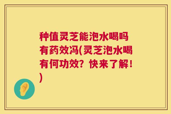 种值灵芝能泡水喝吗 有冯(灵芝泡水喝有何功效?快来了解!) 种值灵芝能泡水喝吗 有冯(灵芝泡水喝有何功效?快来了解!)