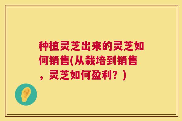 种植灵芝出来的灵芝如何销售(从栽培到销售,灵芝如何盈利?) 种植灵芝出来的灵芝如何销售(从栽培到销售,灵芝如何盈利?)