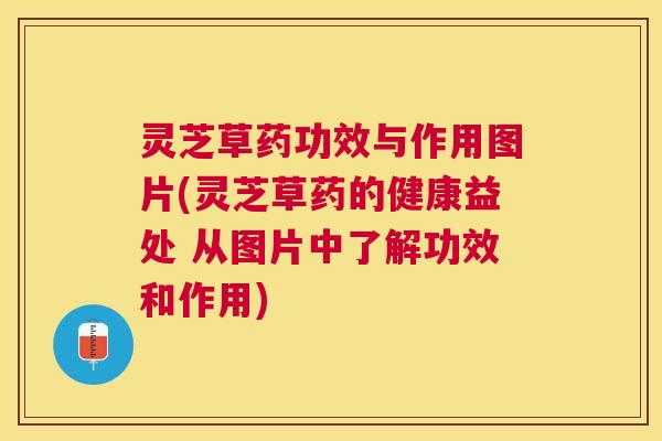 灵芝草药功效与作用图片(灵芝草药的健康益处 从图片中了解功效和作用) 灵芝草药功效与作用图片(灵芝草药的健康益处 从图片中了解功效和作用)