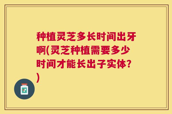 种植灵芝多长时间出牙啊(灵芝种植需要多少时间才能长出子实体?) 种植灵芝多长时间出牙啊(灵芝种植需要多少时间才能长出子实体?)