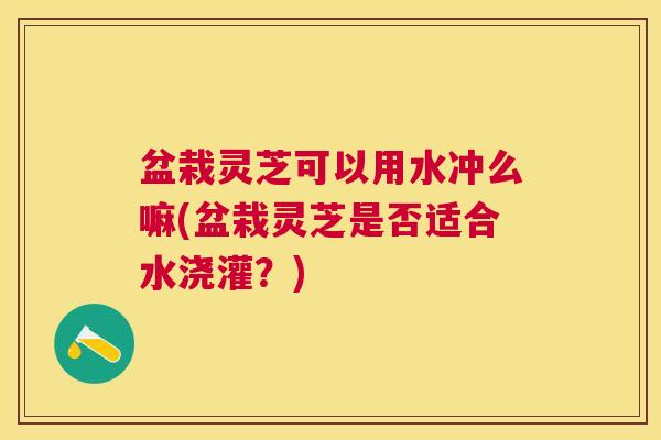 盆栽灵芝可以用水冲么嘛(盆栽灵芝是否适合水浇灌?) 盆栽灵芝可以用水冲么嘛(盆栽灵芝是否适合水浇灌?)