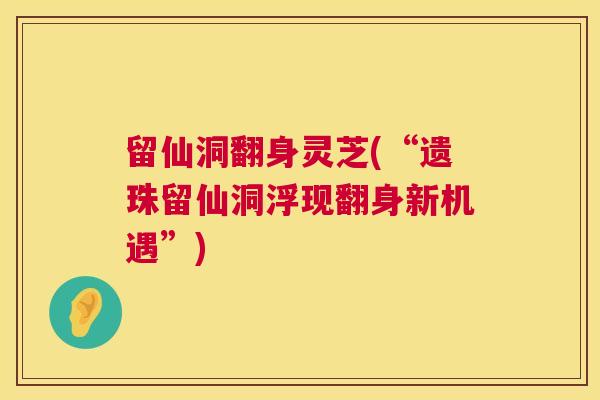 留仙洞翻身灵芝(“遗珠留仙洞浮现翻身新机遇”) 留仙洞翻身灵芝(“遗珠留仙洞浮现翻身新机遇”)
