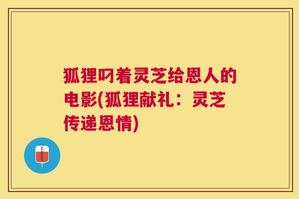 狐狸叼着灵芝给恩人的电影(狐狸献礼:灵芝传递恩情) 狐狸叼着灵芝给恩人的电影(狐狸献礼:灵芝传递恩情)