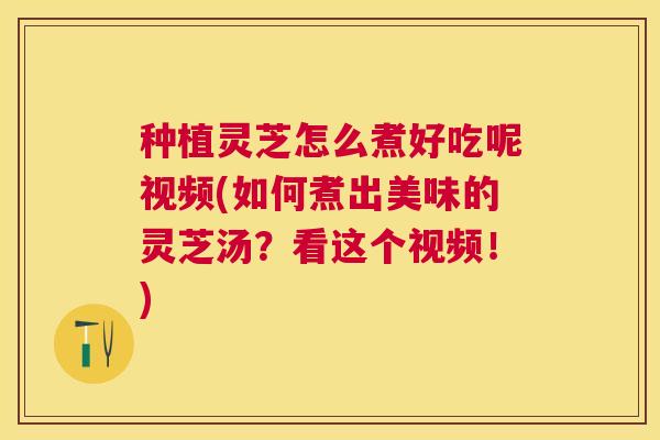 种植灵芝怎么煮好吃呢视频(如何煮出美味的灵芝汤?看这个视频!) 种植灵芝怎么煮好吃呢视频(如何煮出美味的灵芝汤?看这个视频!)