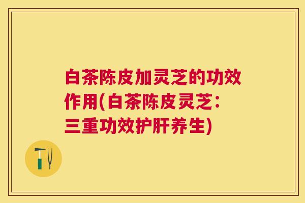 白茶陈皮加灵芝的功效作用(白茶陈皮灵芝:三重功效养生) 白茶陈皮加灵芝的功效作用(白茶陈皮灵芝:三重功效养生)