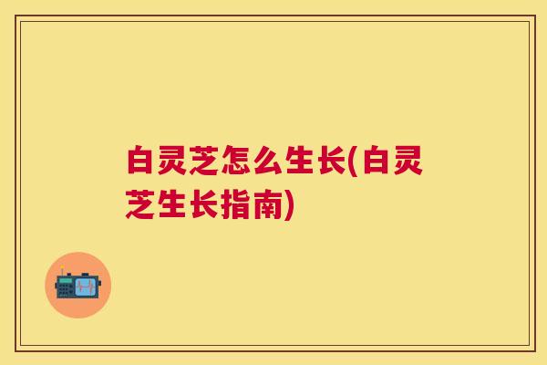 白灵芝怎么生长(白灵芝生长指南)