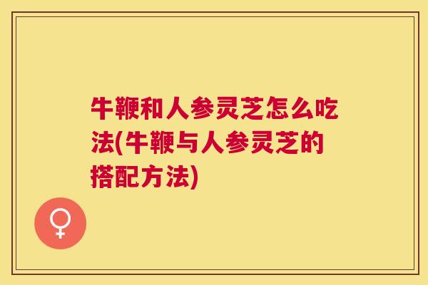 牛鞭和人参灵芝怎么吃法(牛鞭与人参灵芝的搭配方法)