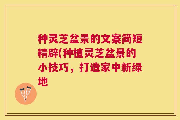种灵芝盆景的文案简短精辟(种植灵芝盆景的小技巧,打造家中新绿地 种灵芝盆景的文案简短精辟(种植灵芝盆景的小技巧,打造家中新绿地