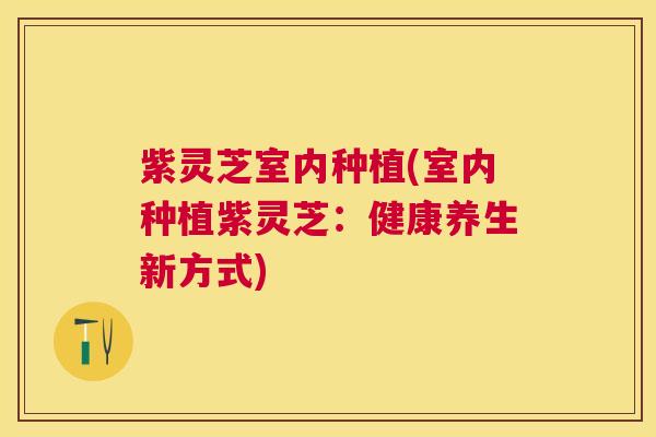 紫灵芝室内种植(室内种植紫灵芝:健康养生新方式) 紫灵芝室内种植(室内种植紫灵芝:健康养生新方式)